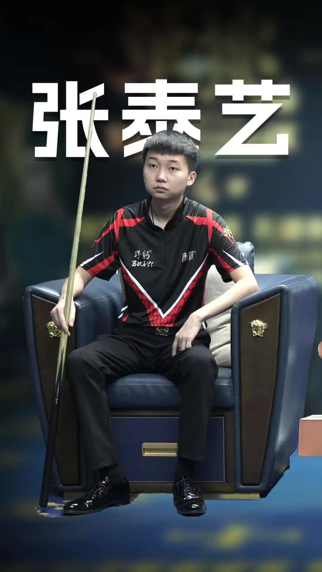 多种变量 多种变量